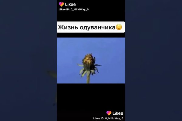 Кракен наркоторговец