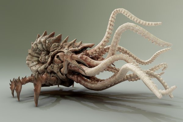 Kraken 13 at сайт