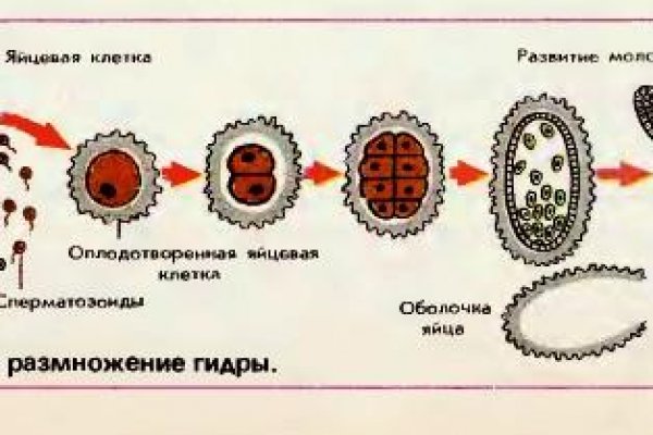 Кракен купить порошок