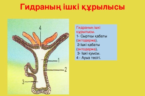 Kraken что это за магазин