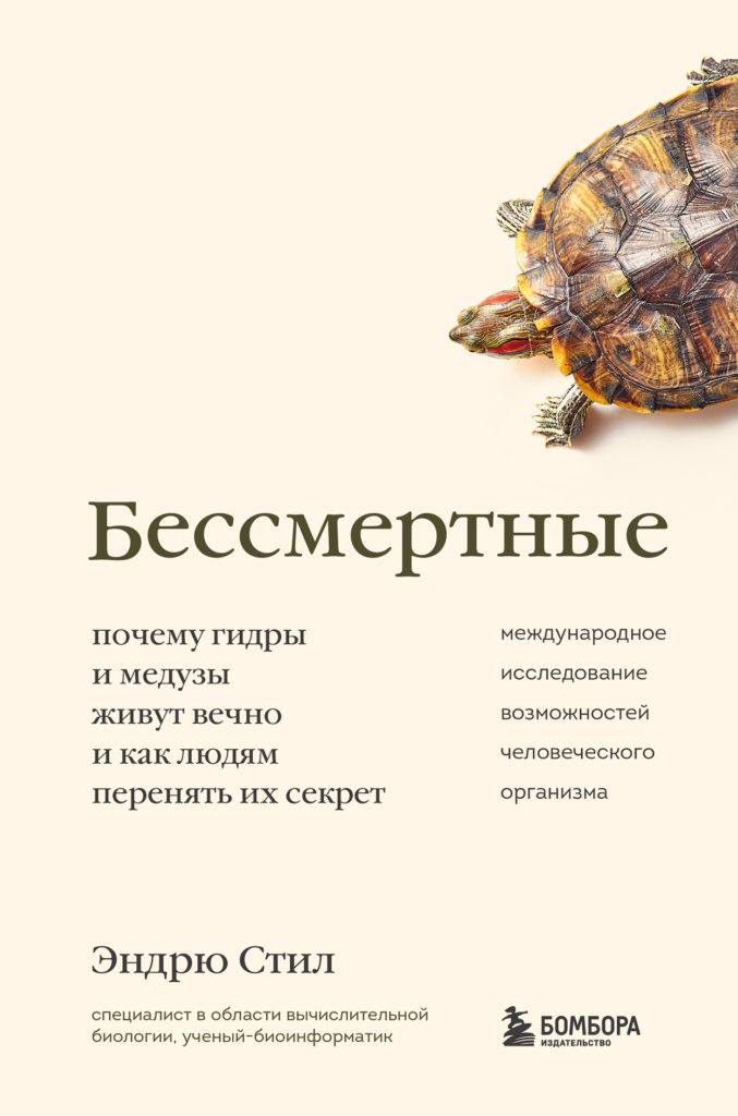 Вывести деньги с кракена